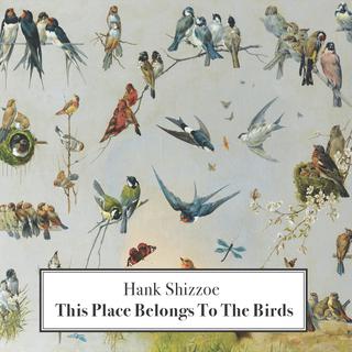 Pochette de l'album "This place belongs to the birds" d'Hank Shizzoe. [Musikvertrieb]