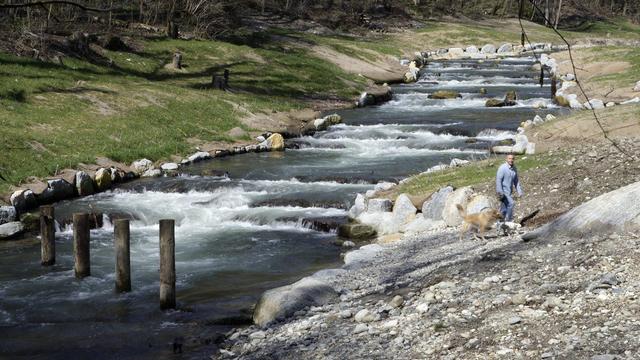 Une vue de la Versoix lors de l'inauguration de la renaturation du secteur du barrage des Usigniers en 2009.