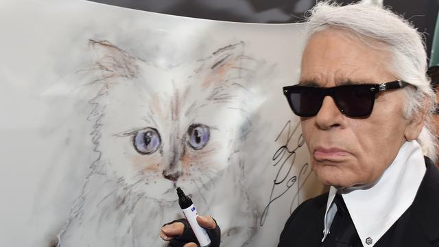 Karl Lagerfeld et Choupette. [AFP/dpa - Jens Kalaene]