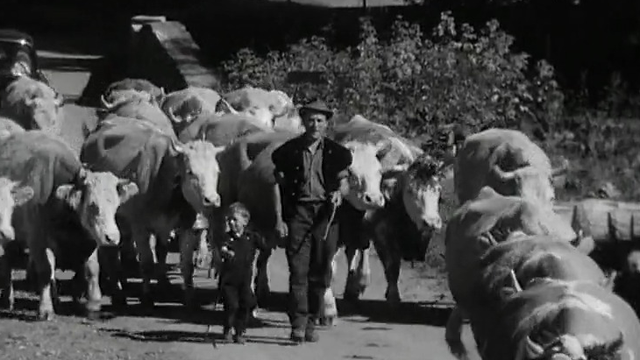 Désalpe à l'Etivaz en 1964. [RTS]