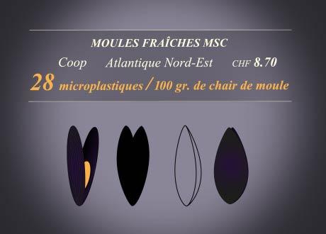 Moules Fraîches MSC [RTS]