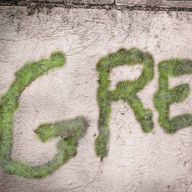 Exemple de "moss grafiti". [CC BY-NC-SA 3.0 - Wikiphoto]