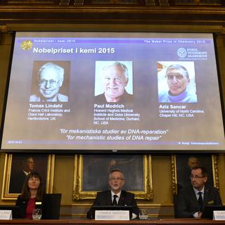L'annonce du prix Nobel de chimie 2015, décerné conjointement à 3 chercheurs. [AFP - JONATHAN NACKSTRAND]