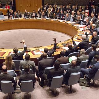 Les 15 membres du Conseil de sécurité de l'ONU ont adopté vendredi une résolution qui établit une feuille de route pour une solution politique en vue de mettre un terme à la guerre en Syrie. [Bebeto Matthews - AP Photo]