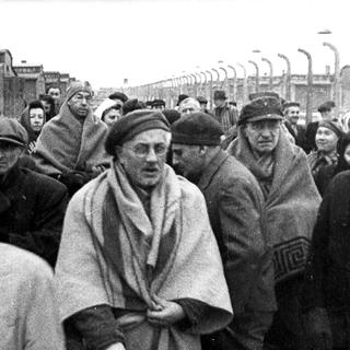 Quelque 7000 personnes au total ont été libérées du camp d'Auschwitz.