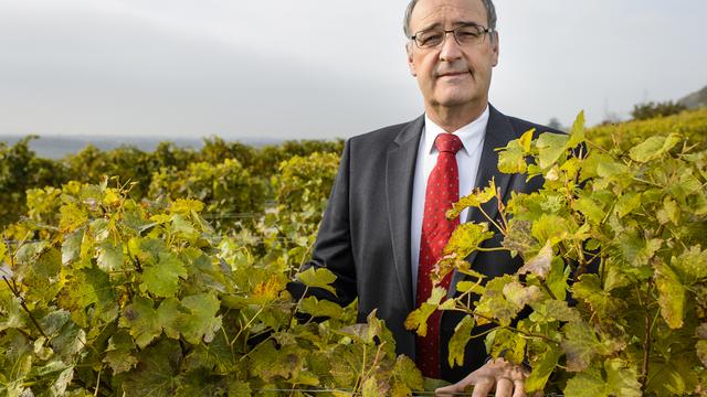 24 octobre 2015: au milieu des vignes vaudoises. [Jean-Christophe Bott]