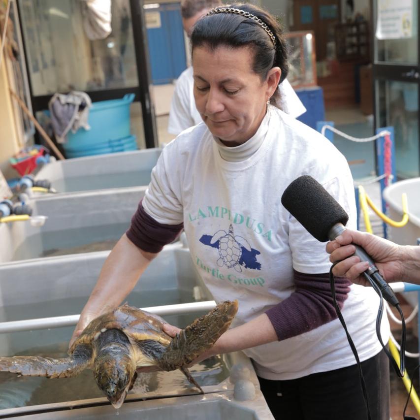 Au dispensaire des tortues, à Lampedusa, avec Daniela Freggi