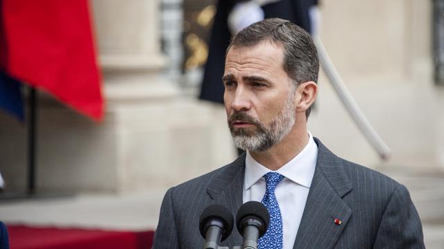 Le roi d'Espagne Felipe VI. [AFP/Citizenside - Yann Korbi]