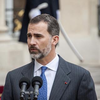 Le roi d'Espagne Felipe VI. [AFP/Citizenside - Yann Korbi]