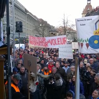 Près de 10'000 paysans venant de toute la Suisse ont manifesté le 27 novembre à Berne. Ils s'opposent au plan d'économies préconisé par la Confédération. [Daniel Bachmann]