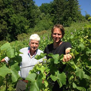 Henri Chollet (gauche) et son fils Vincent, vignerons à Villette et producteurs de Plant Robert. [RTS - Céline Fontannaz]