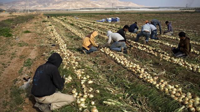 Les produits concernés représentent "moins de 1%" du total des échanges commerciaux entre l'UE et Israël, selon des chiffres de la Commission. [AP/Keystone - Oded Balilty]