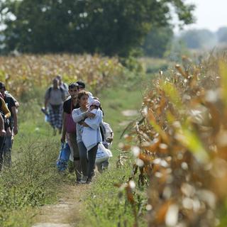 Groupe de migrants côté serbe de la frontière avec la Hongrie, 16.09.2015. [Reuters - Antonio Bronic]