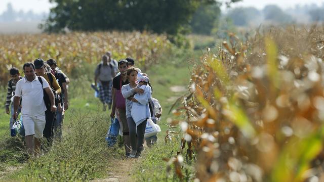 Groupe de migrants côté serbe de la frontière avec la Hongrie, 16.09.2015. [Reuters - Antonio Bronic]