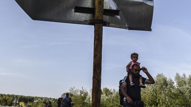 Migrants le long de la frontière serbo-croate près de Bezdan, 17.09.2015. [AFP - Armend Nimani]