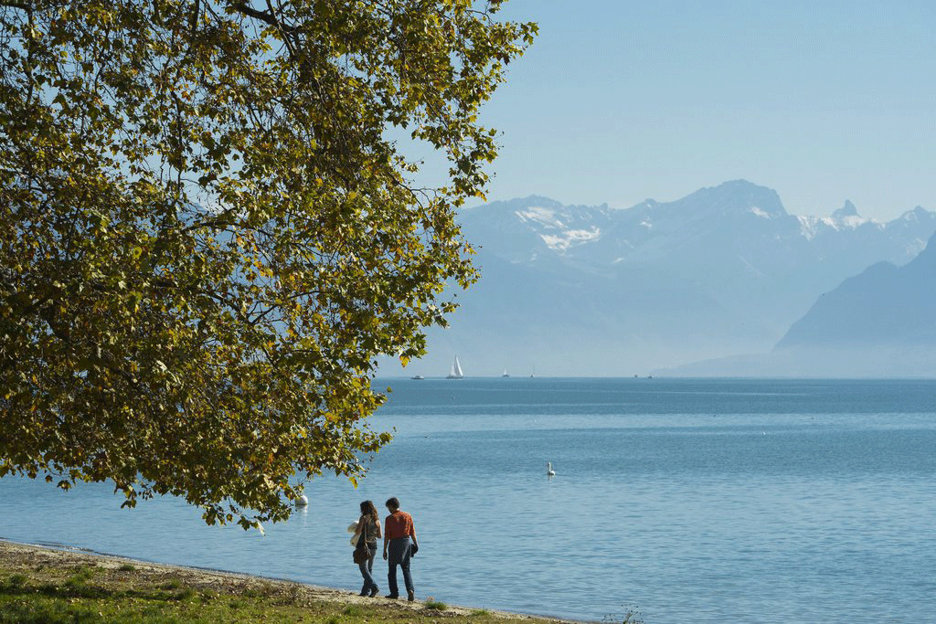 Deux personnes marchent devant un arbre au bord du lac Léman lors d'une journée ensoleillée d'automne, samedi 19 octobre 2013 à Lausanne. [Jean-Christophe Bott]