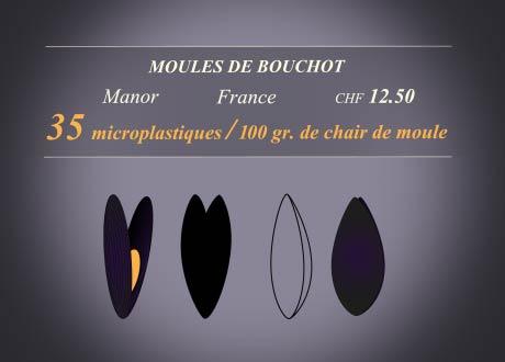 Moules de Bouchot [RTS]