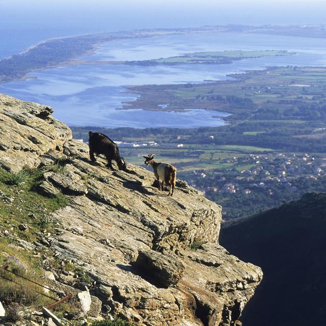 Le col de Teghime au-dessus de Bastia. [Hemis.fr / AFP - Camille Moirenc]