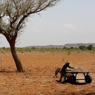 Les changements climatiques ont d'importants effets sur les écosystèmes en Afrique (ici, dans le nord du Mali). [EPA/Keystone - Nic Bothma]