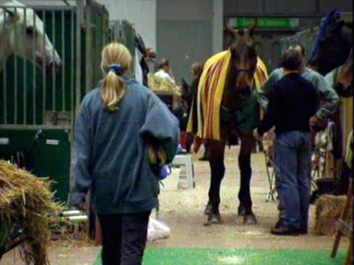 Travail des grooms équestres lors d'un concours hippique en 1998. [RTS]