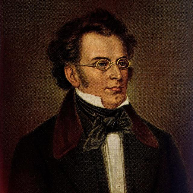 Franz Schubert (1797-1828), compositeur autrichien. [AFP - © Collection Roger-Viollet]
