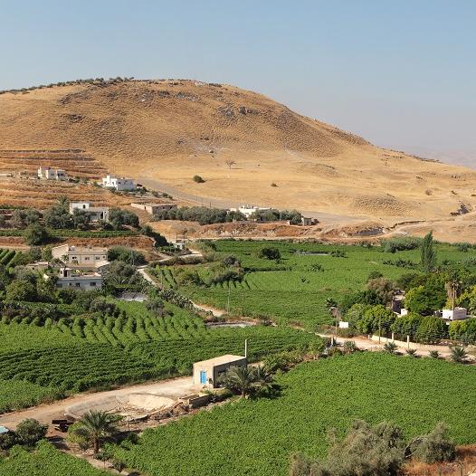 Vallée du Jourdain près de Pella [Manuel Cohen]