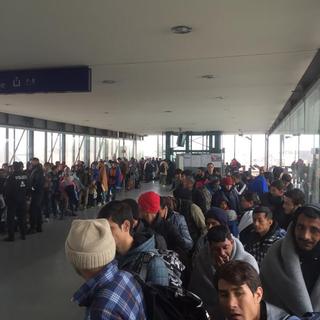 Dans la gare de Klagenfurt, les migrants font la queue en attendant de pouvoir monter dans un train. Gros contraste avec la Hongrie: neuf policiers seulement gèrent la foule. Les six Syriens suivis depuis une semaine ont finalement décidé de passer par l'Allemagne pour atteindre leur destination finale. (15.10.2015) [Twitter - Nicolae Schiau]