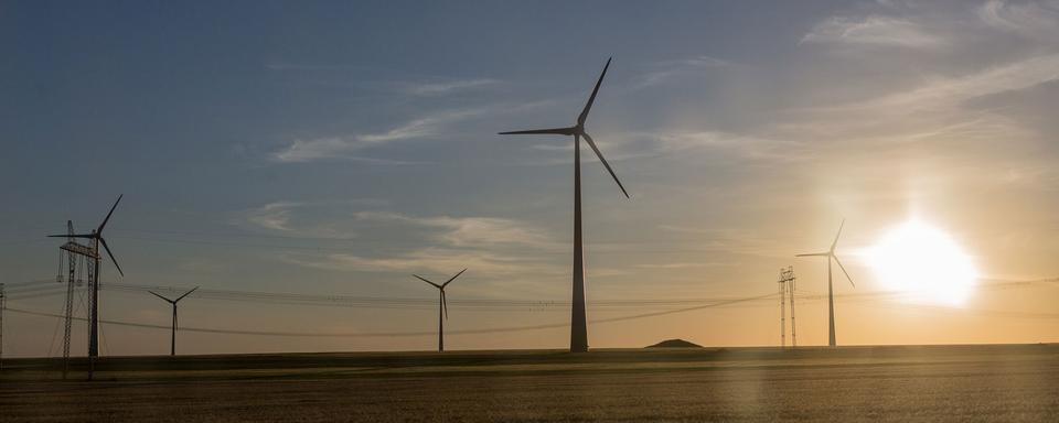 Des éoliennes dans la région de Tulcea. [RTS - Thierry Galeuchet]