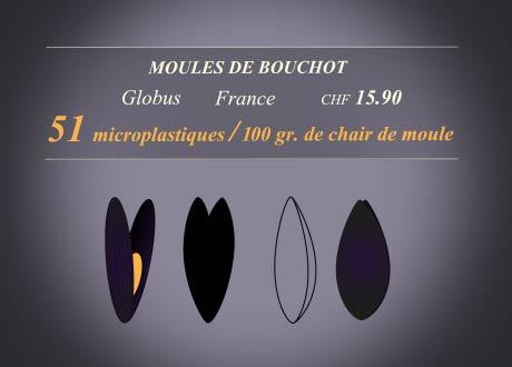 Moules de Bouchot [RTS]