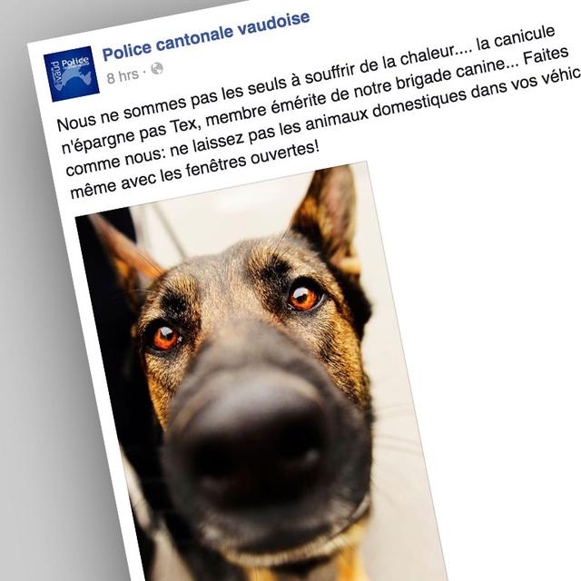 Plan alerte canicule: le post Facebook réussi de la police cantonale vaudoise. [Facebook]