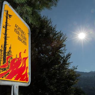 La canicule qui frappe la Suisse augmente le risque de feux de forêt. [Keystone - Arno Balzarini]