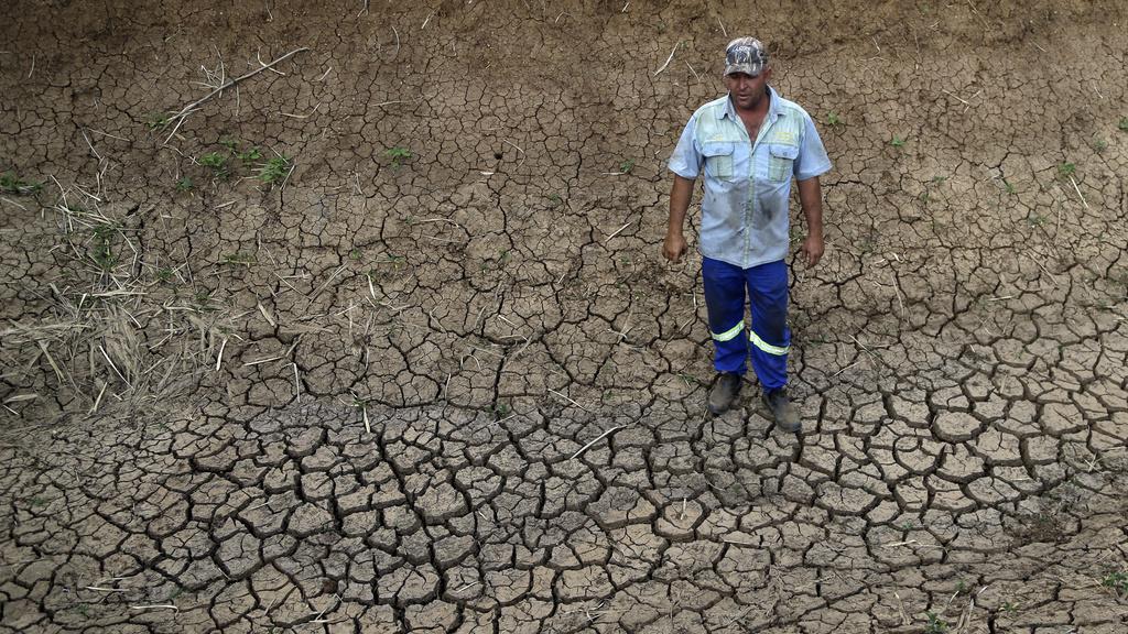 L'Afrique du Sud n'a plus connu une telle sécheresse depuis 1982. [AP Photo/Themba Hadebe]