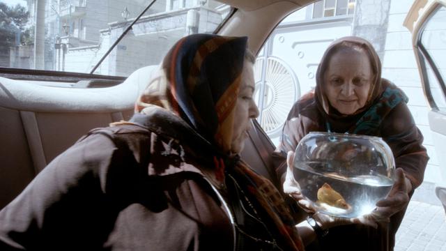 Des scènes parfois cocasses, comme ces deux vielles dames trimbalant un bocal de poisson rouge aux vertus salutaires. [Collection Christophel © Jafar Panahi Film Productions]