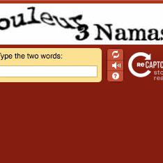 Le CAPTCHA fête ses 10 ans. [DR]
