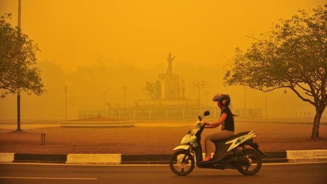 Des dizaines de milliers de personnes sont victimes d'infections respiratoires sur les îles de Kalimantan et Sumatra. [EPA/Hugo Hudoyoko]
