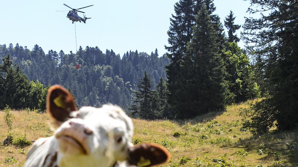 L'armée suisse avait puisé dans le lac des Rousses, dans le Jura français, pour abreuver des vaches vaudoises. [Keystone - Jean-Christophe Bott]