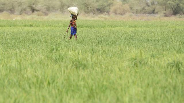 Les initiants se battent contre la spéculation sur les denrées alimentaires. [APA/Keystone - Helmut Fohringer]