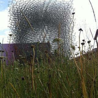 Le pavillon du Royaume-Uni: un design de ruche impressionnant. [RTS - Frédérique Volery]