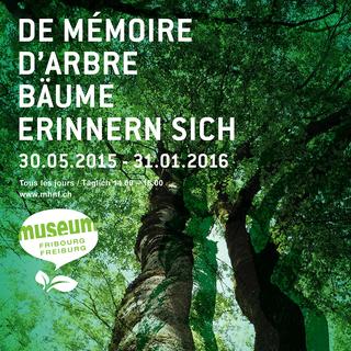 L'affiche de l'exposition "De mémoire d’arbre" du Musée d’histoire naturelle de Fribourg.
Musée d’histoire naturelle de Fribourg [Musée d’histoire naturelle de Fribourg]