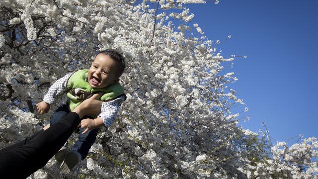 Si l'enfant tarde à venir, le recours à un spécialiste reste de mise, pour l'homme comme pour la femme. [Carlo Allegri]