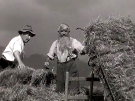 Les travaux des foins à Fribourg en 1963. [RTS]