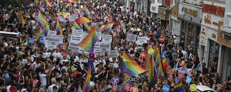 Une photo de l'édition 2014 de la Gay Pride stambouliote. [Umit Bektas]