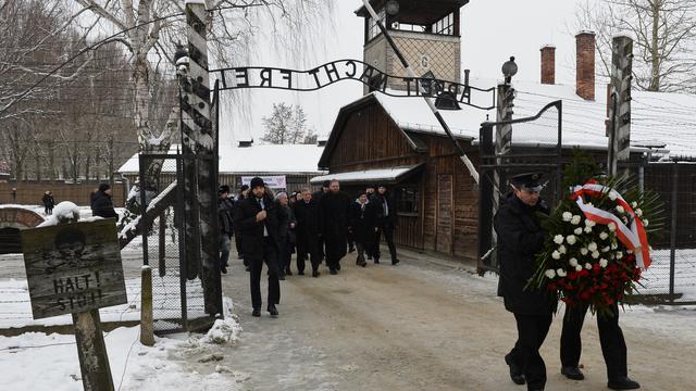 Commémoration des 70 ans de la libération d'Auschwitz en 2015. [AFP - Janek Skarzynski]