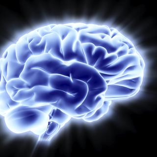 Les périodes critiques du développement du cerveau pourraient notamment expliquer la schizophrénie.