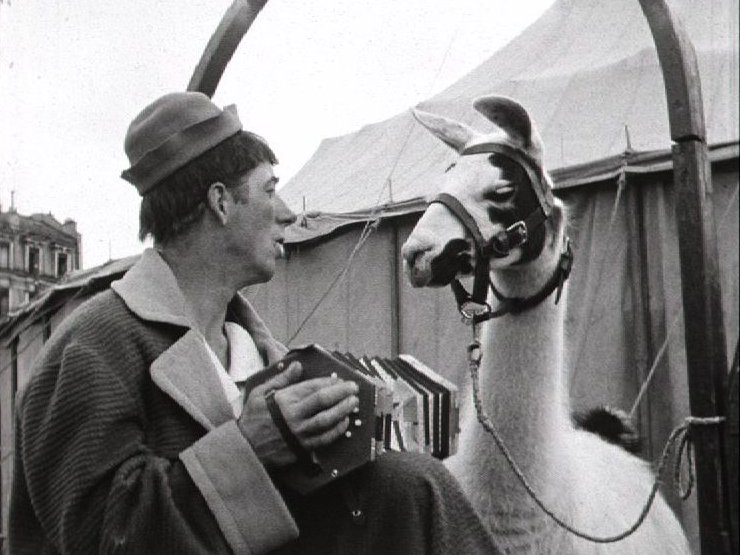 Clown et lama du cirque Pilatus, 1954. [RTS]