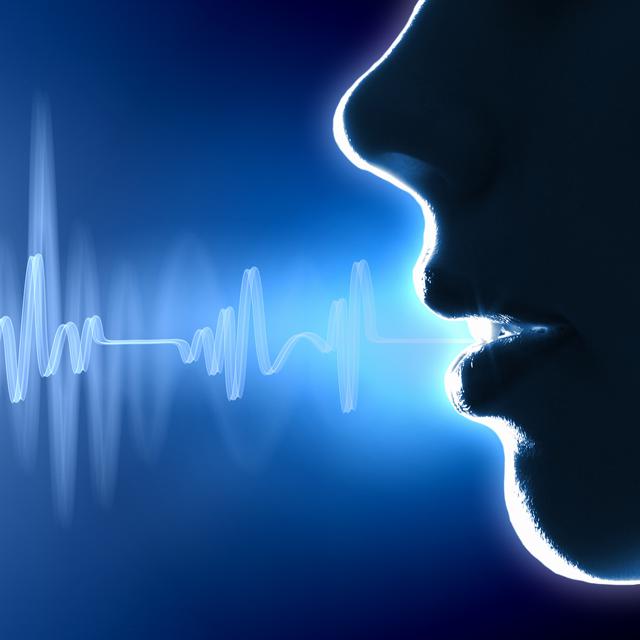 Certains logiciels de reconnaissance vocale permettent de divulguer nos conversations sur internet. [Fotolia - Sergey Nivens]