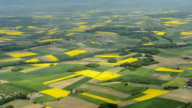 Les trois quart des communes devront effectuer des aménagements dans leur plan d'affectation.