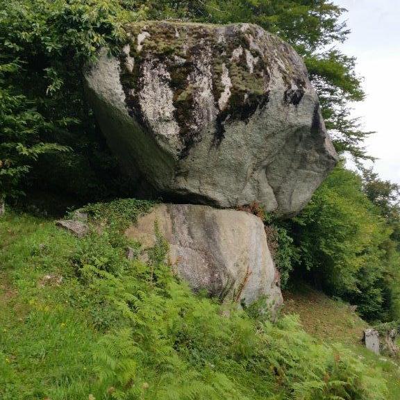 La Pierre à DZO, sur le sentier des blocs erratiques, au-dessus de Monthey. [Christine Magro]