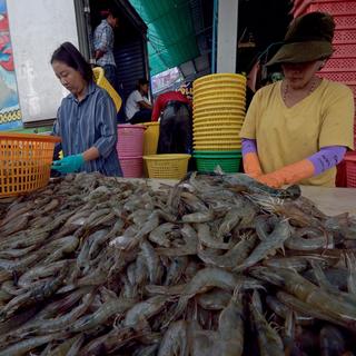 La Thaïlande est confrontée à une menace de boycott de l'importation de ses fruits de mer par l'Union européenne. [AFP - Pornchai Kittiwongsakul]