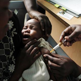 La grande majorité des cas de paludisme (80%) touchent l'Afrique sub-saharienne. [Karel Prinsloo]